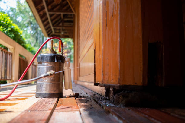 Best Exterminator Services  in Ashton Sandy Spring, MD