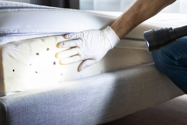 Best Affordable Pest Control Services  in Ashton Sandy Spring, MD